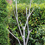 Abstract stainless steel tree sculpture