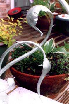 Contemporary Organic Patio Balustrade