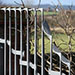 detailed and elegant metal railings