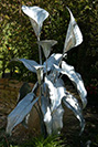 Galvanised steel calla lily sculpture