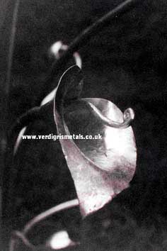 steel calla lily