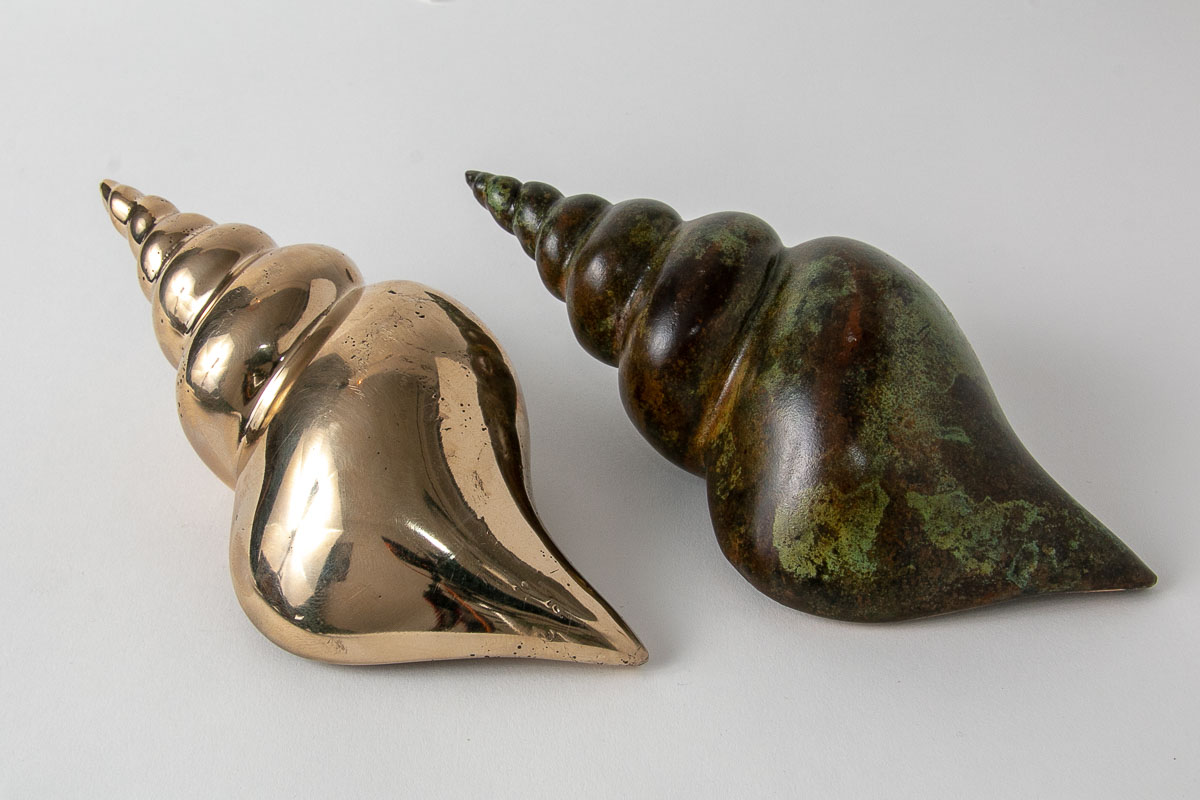 Cone shell hot cast bronze collectible miniature bronze seashell sculpture 