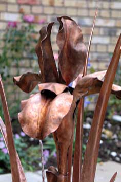 copper iris water feature