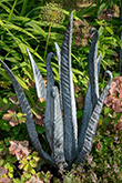 Weethered and aged galvanised steel Harts tongue fern sculpture