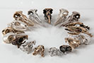 Bronze and silver bird and animal skulls