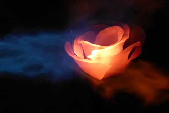 Forged Stainless Steel Rose
