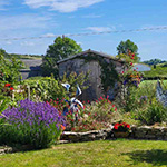 The Blacksmith's Garden