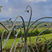Swirling Flowing Railings