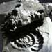 A forged steel ammonite