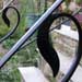 Art Nouveau Railings