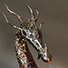 fire breathing bronze dragon sculpture