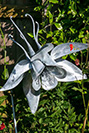 Galvanised steel aqualegia or granny's bonnet sculpture