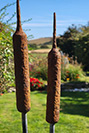 Galvanised and weathered steel bulrush garden sculpture