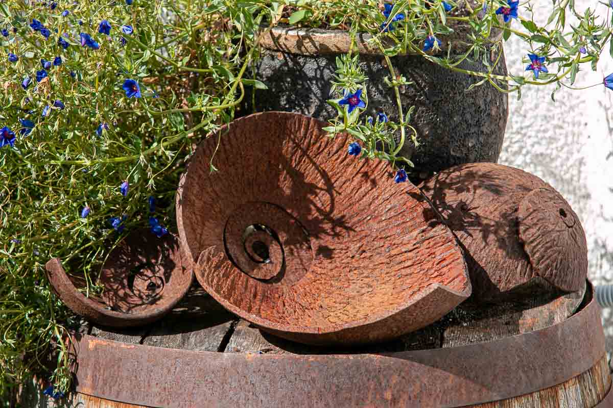 Weathered and rusty steel ammonite garden features Weathered and rusty steel ammonite garden features