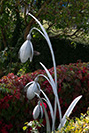metal snowdrop sculptures