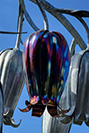 Heat coloured stainless steel bluebell sculptures