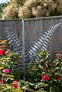 Galvanised Steel Fern Trellis and Sculpture