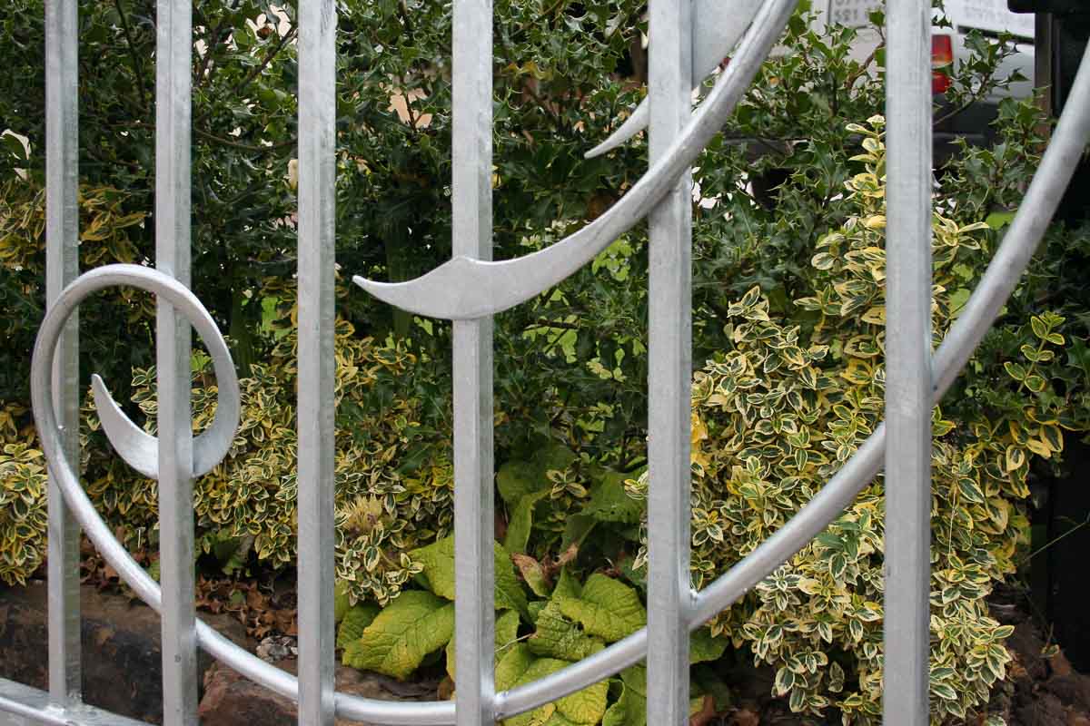 Fantasy Inspired Wrought Iron Gates