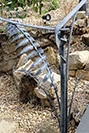 Handrail with ferns and other nature inspired detailing