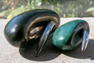 Bronze and stainless steel seed sculptures