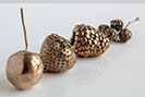 Bronze fruit and seeds