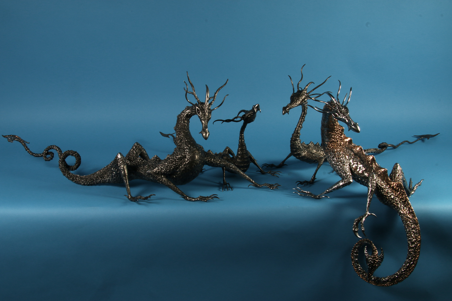 Dad Baby Teenager and Mum Metal Dragon Family