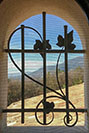 forged steel and ivy security grill 