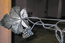 Grape vine grill for a wine cellar