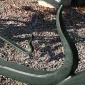 Art Nouveau gate detailing